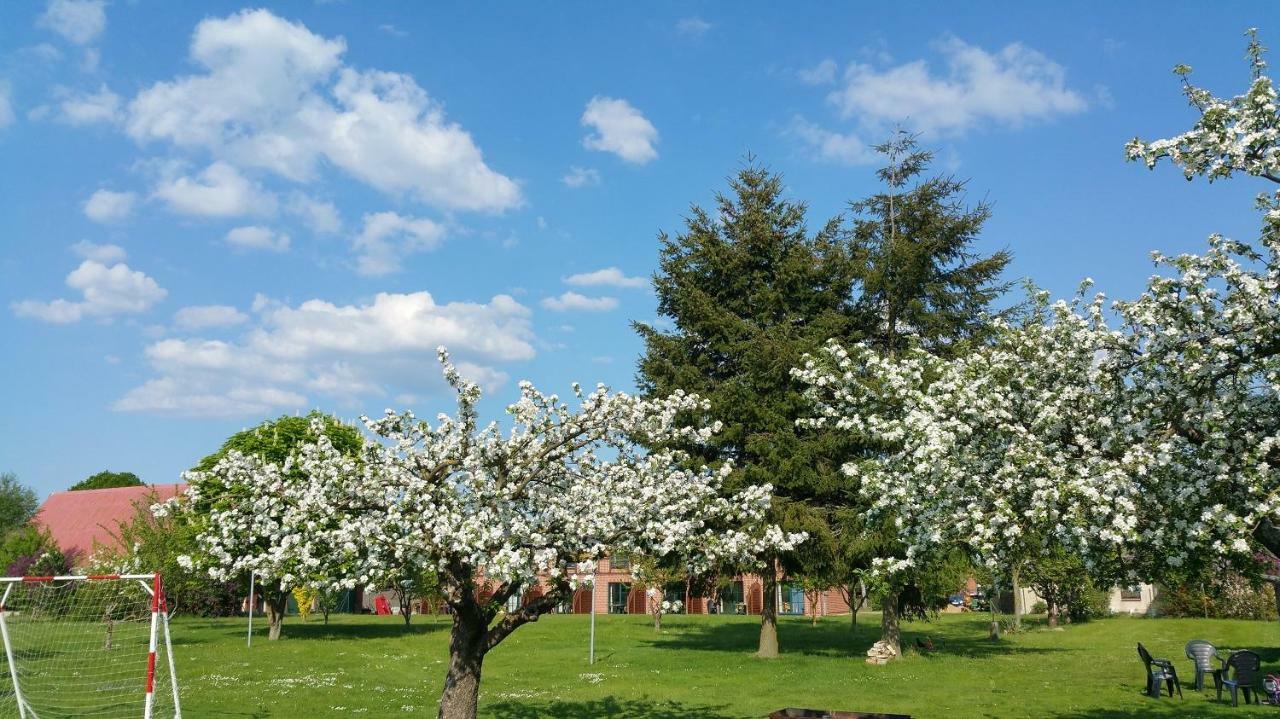Landferienhof "Mueritzufer" Ludorf エクステリア 写真