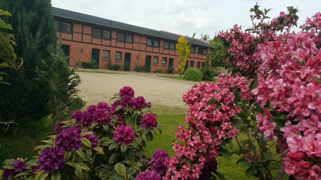 Landferienhof "Mueritzufer" Ludorf エクステリア 写真